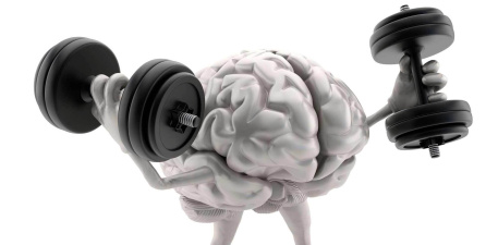 Kreatin og hjernen – påvirkning på kognitiv funksjon